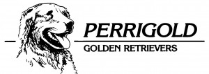 Perrigold