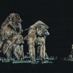 Scratchboard - Watercolor Hilite